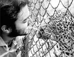 A youth playfully offers a straw to a leopard in its enclosure, in violation of the Wildlife Act, at the Chhat Bir Zoo on Saturday