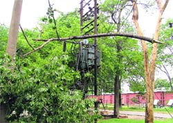 Taking A hit A transformer was damaged after a tree fell on it at Punjab Agricultural University in Ludhiana