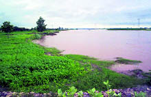 The rising waters of the Sutlej in Moga district