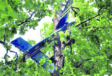 The tail of the helicopter entangled in a tree in the Ladpur jungles near Dehradun on Sunday.