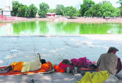 Pilgrims take a nap near Sanhit sarovar in Kurukshetra
