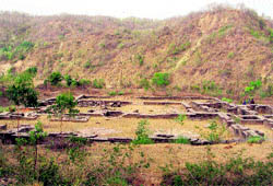 Wild growth covering the stupa at Adi Badri in Yamunanagar district