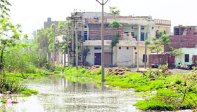 A filthy drain near the Majitha road locality poses a serious health hazard to residents.