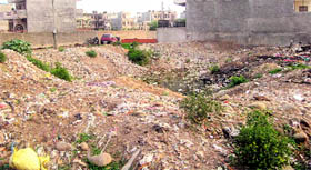 Garbage is dumped in deep potholes in vacant plots at Sector 17 in Panchkula.