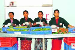Women, who were confined to their homes, are now involved in sorting, grading and packaging of vegetables at the processing centres. They earn anything from Rs 1,500 to Rs 3,000 each per month