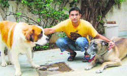  Adhiraj with his Great Dane and St. Bernard