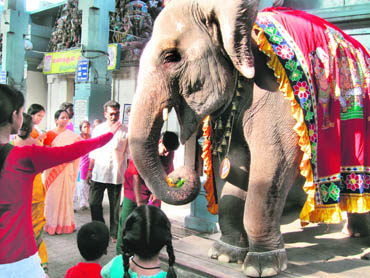 The main attraction of Ganesh temple is Laxmi, the beloved elephant, standing at the gateway