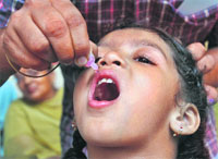 Polio drops being administered to a girl in Chandigarh on Sunday. 