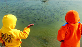 Two tiny tots talk fish at Bangla Sahib Gurdwara in New Delhi.