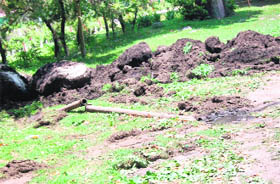 Sewage leaks out from pipes at the Circuit House in Manali.