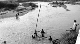 In search Rescue workers try to find the body of a farmer who was swept away in the Ghaggar near Alamgir village, Dera Bassi, on Monday.