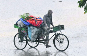 WHEN RAIN GOD SMILES: A rickshaw-puller caught in the rain in Karnal.