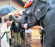 BS Yeddyurappa performs rituals at a temple at Dharmasthala in Karnataka on Monday.