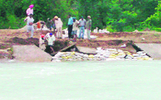 Irrigation department personnel repair breaches in the Bhakra Canal near Bassi Pathana on Tuesday.