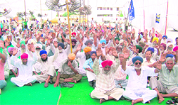 BSP workers take out a rally against price hike at Giani Zail Singh Nagar in Ropar on Tuesday.