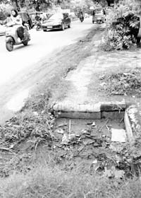 A blocked drain on the road separating Phases IV and V in Mohali