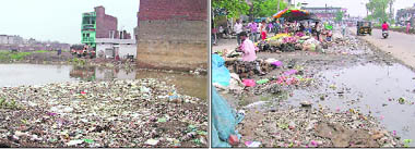 Virtual Hell Stagnant rainwater and filth in an empty plot in the citys Fauji Colony; and (right) roadside vendors selling vegetables with rotten vegetables strewn all over on Wednesday