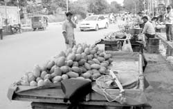 Wrongly parked rehris at Phase 11 in Mohali