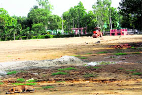 The parched land of the park.