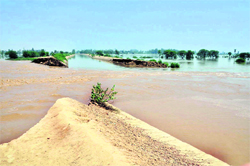 The breach in the canal