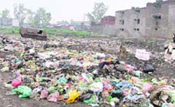 Garbage lying unattended at a locality in Ludhiana.