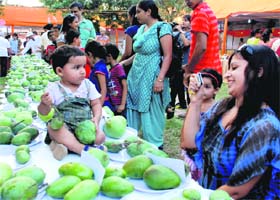 A child playing with a mango is captured on camera during the 20th Mango Mela at the Yadvindra Gardens in Pinjore on Saturday