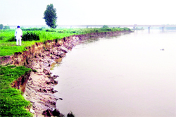 The Beas in Naushera-Pattan near Mukerian
