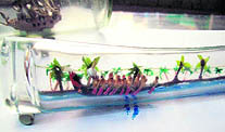 Gopalaswamys collection of bottles includes one depicting Keralas annual Allappuzha Onam boat race