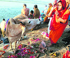 Ganges traces the journey of the most venerated river in the world from Gaumukh to the Bay of Bengal