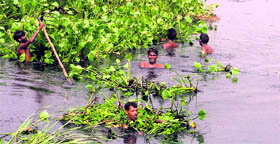 Workers manually clean the drain near Tajpur Road in Ludhiana on Sunday.