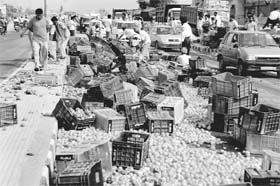 Vegetables strewn on the highway after a truck overturned at Dera Bassi on Monday