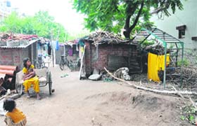 Temporary sheds raised by workers in a park located near house numbers 1001/1039; and a green belt near house numbers 1042/1064 being used for drying clothes at Attawa village in Sector 42, Chandigarh