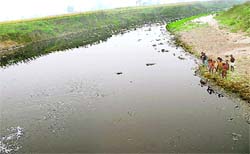 A view of the drain carrying industrial effluents near Jalandhar