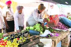 Health officials seize overripe and underripe fruits and vegetables in Ludhiana