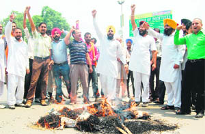 Activists of the Peoples Party of Punjab burn an effegy of the Punjab Government and UPA government against the fuel price hike in Amritsar on Tuesday. 