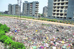 Garbage, a source of disease and foul smell, lies in Shaheed Bhagat Singh Nagar due to non-lifting of garbage. MC has not been lifting garbage in many parts of the city. ent in many areas of Ludhiana.