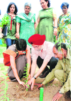 A sapling is planted at St Johns High School at Sector 26 of Chandigarh on Wednesday. 