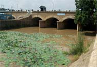 The sorry plight of the Gang canal near the Hussainiwala barrage.