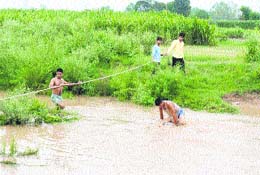 A rescue operation in progress in Jharmal choe at Dappar village. 