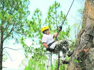 Adventure sports like abseiling or rappelling not only boost stamina but also build team spirit