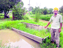 A resident of Dharmheri village, Patiala, shows an unused boat