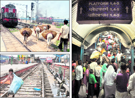 RAILWAY TRACK OR DONKEY FARE? Donkeys cross a track even as a train approaches near the Ludhiana railway station. (left below) unaware of the danger In the absence of any sweepers, a rag picker risks his life and acts as a scavanger. (right) too crowded With thousands of passengers boarding and alighting from trains in Ludhiana everyday, the station is lacking in amenities considering the volume of passengers