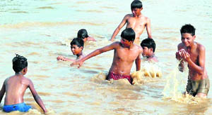 Boys having fun in a pond at Subhash Park in Ambala. 