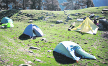 Triund is a small plateau located at a height of about 3,500 m above the sea level at the foothills of the snow-clad Dhauladhar range