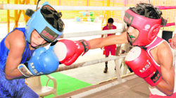 Packing a punch Rahul (in red) lands a punch on his opponent Mukesh during a bout at SD School, Sector 32, Chandigarh, on Friday.