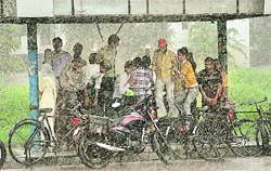 Commuters take cover from rain under a bus queue shelter on the road separating Sectors 51 and 52 in Chandigarh on Friday.