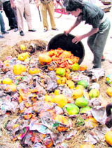 Health department employees dumps overripe and rotten fruits at Sabji Mandi in Ludhiana.