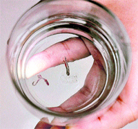 Worms found in the water supply at Kendriya Society, Sector 48, Chandigarh, on Saturday