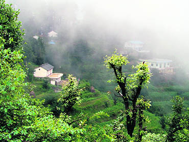 The Garhwal Himalayas offer some stunning sights during this season like lush green forests on the one side and high mountain ranges on the other 