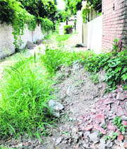 A file photo of one of the rear service lanes in Chandigarh. 